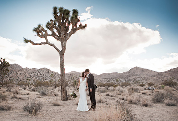 Joshua Tree wedding | 100 Layer Cake