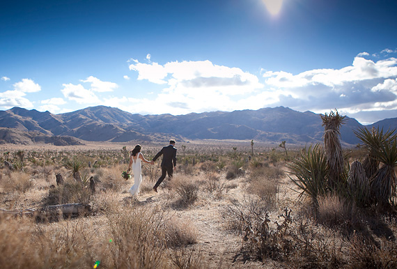 Joshua Tree wedding | 100 Layer Cake