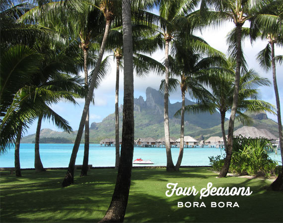 Bora Bora honeymoon | 100 Layer Cake