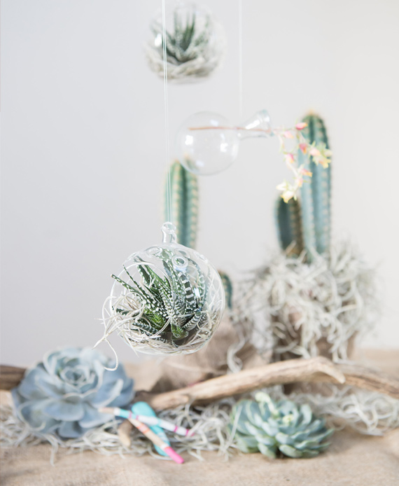 DIY succulent floral styling | 100 Layer Cake