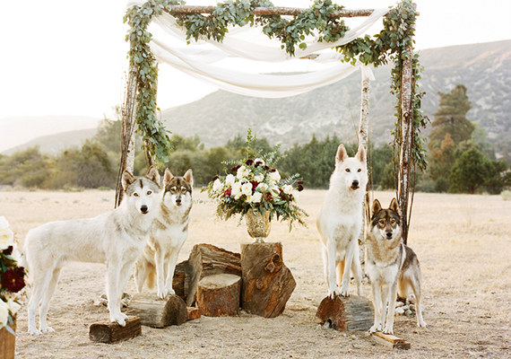 Rustic and elegant winter wedding inspiration | photo by LMarie Photography | 100 Layer Cake 