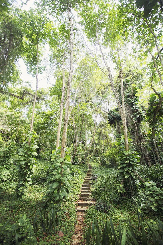 Jamaica Roundhill Hotel and Villas | Photo by Scott Clark | Read more - http://www.100layercake.com/blog/?p=73205