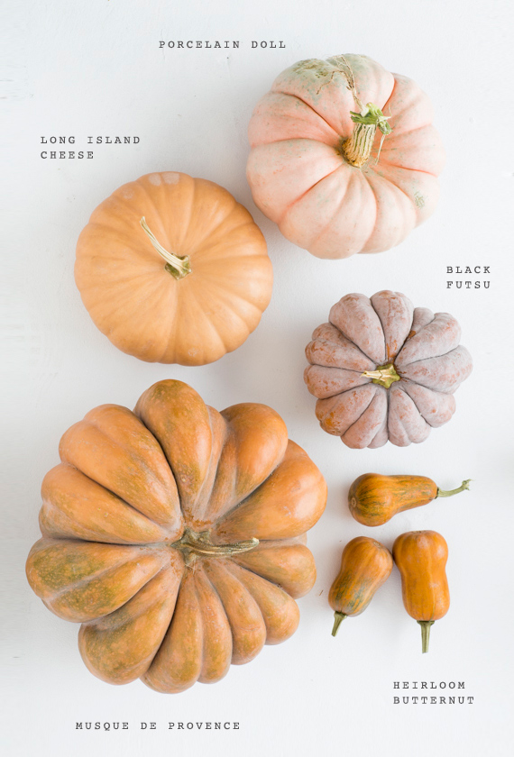 Pink heirloom pumpkin varieties | Photo by Scott Clark | See more on 100layercake.com/blog