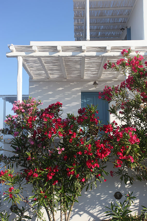 Milos, Greece: Melian Hotel