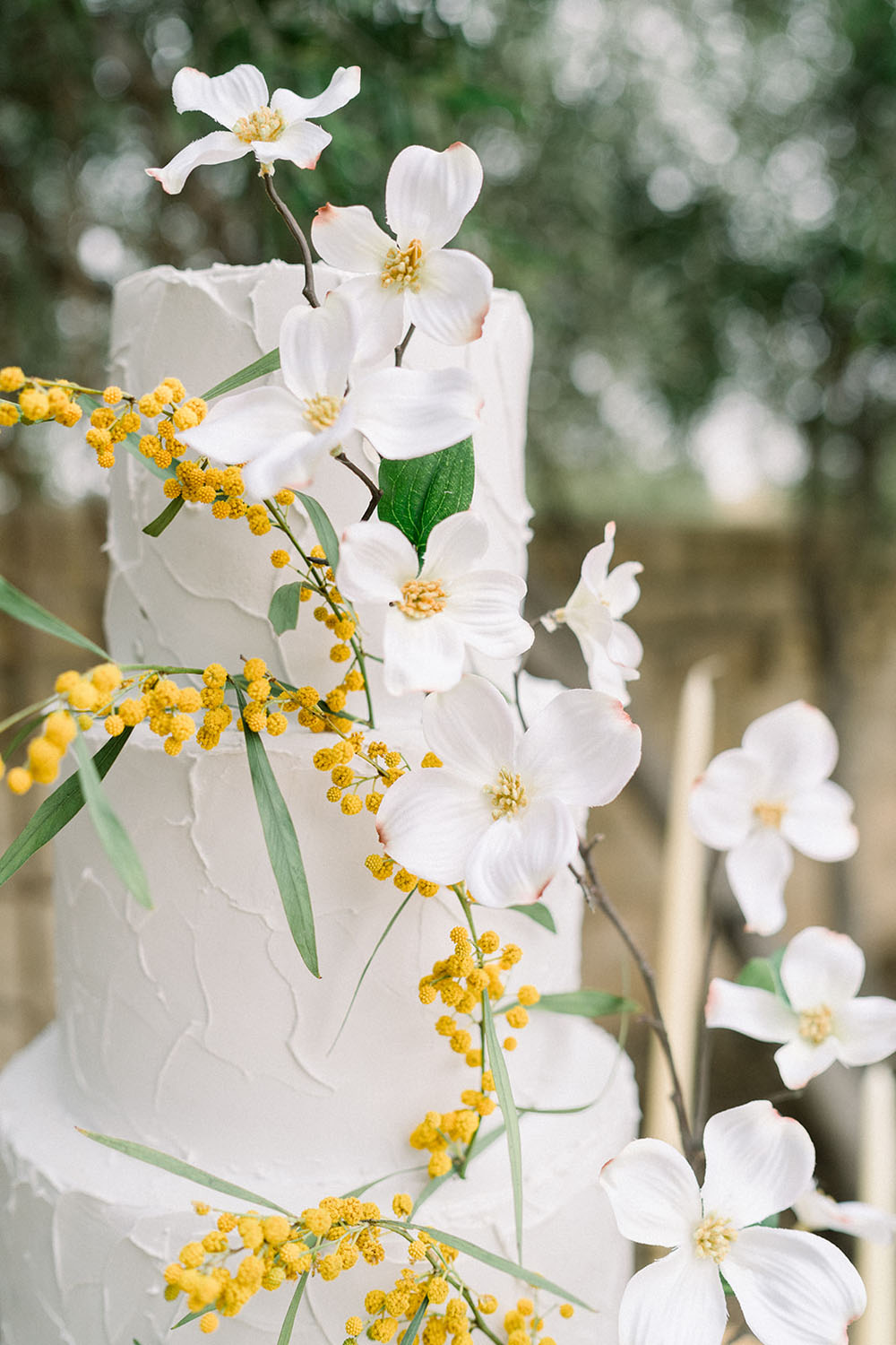 dogwood flowers on cake