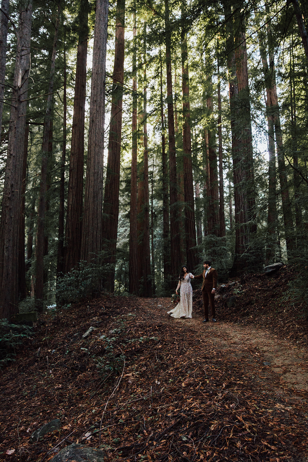 Romantic Big Sur elopement nestled underneath the Redwoods