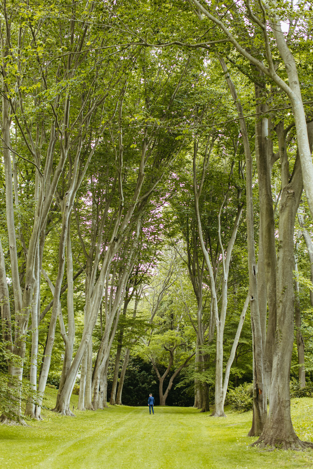 Colorful al fresco garden wedding in New York