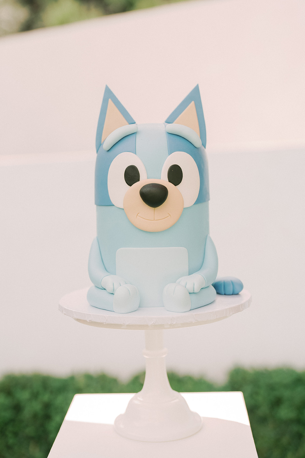 Bluey birthday party cake