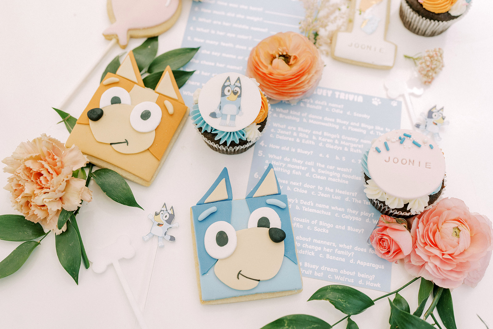 Regina's 2nd Bluey Birthday Party - DIY Party Central