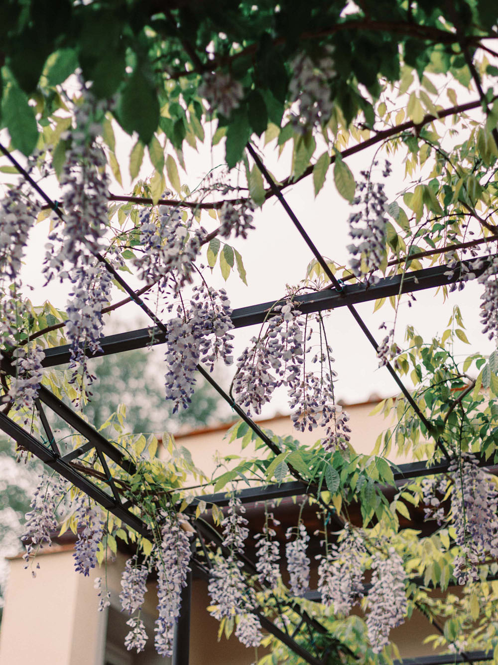 Modern, romantic terracotta-toned Tuscany wedding at Villa La Massa in Florence 