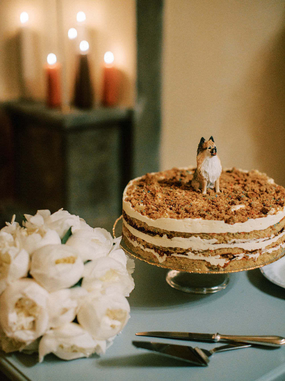 wedding cake with dog