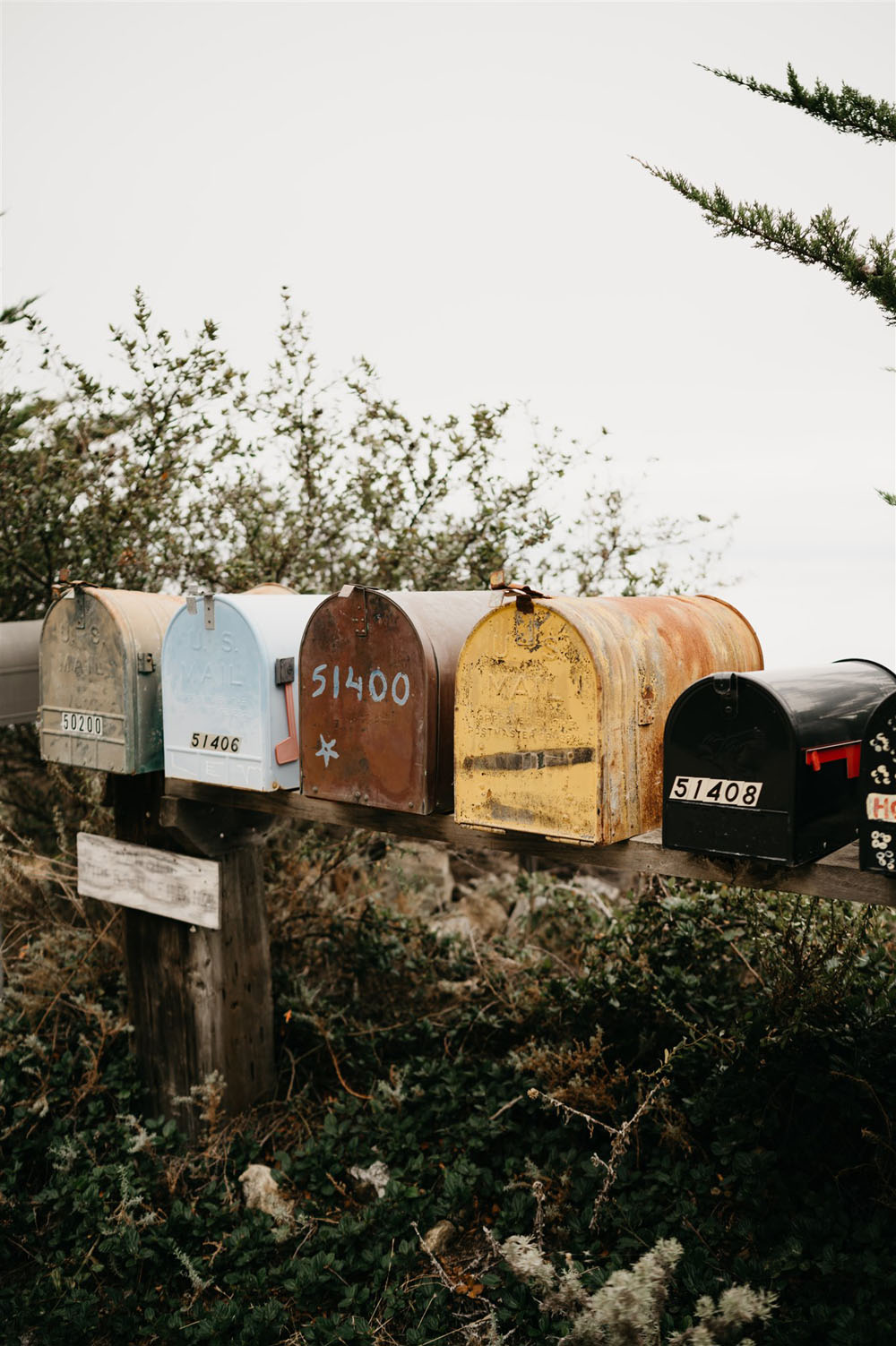 Big Sur wedding with a pre-wedding shoot and private vows 