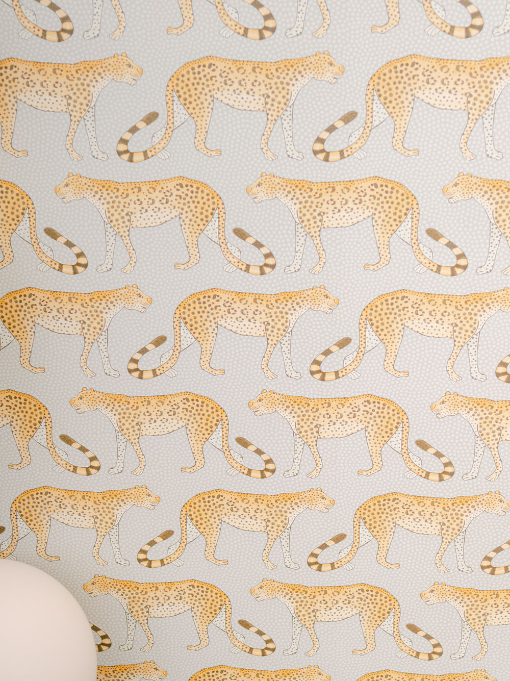 animal wallpaper for birthday party