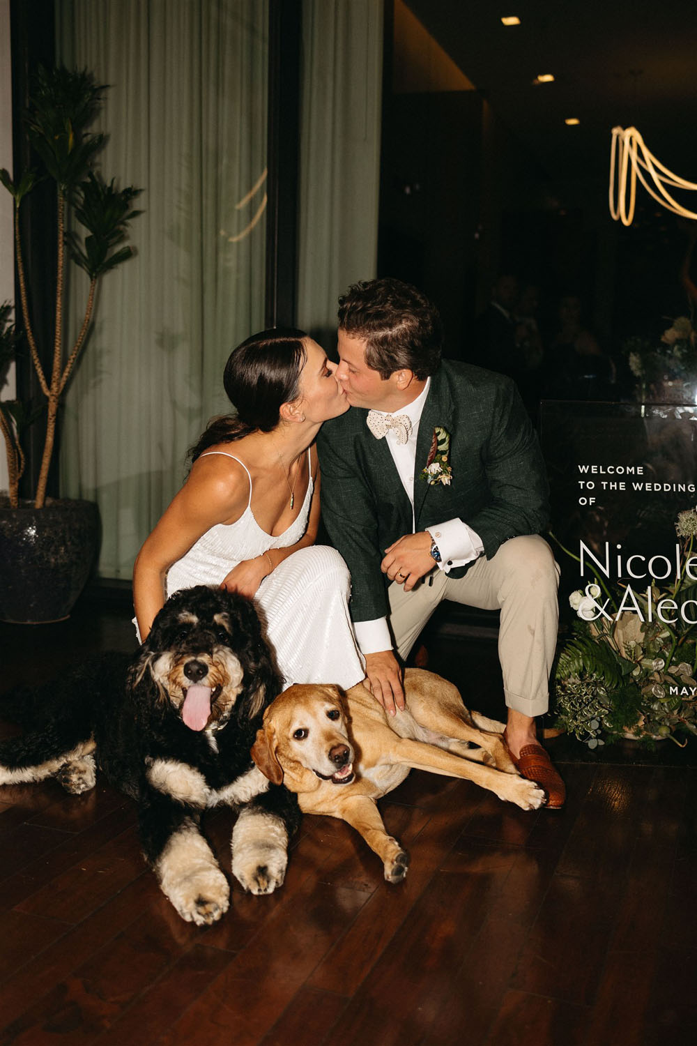couple with dogs at wedding