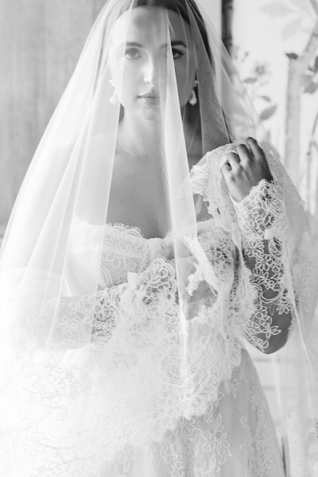 bridal portrait with veil