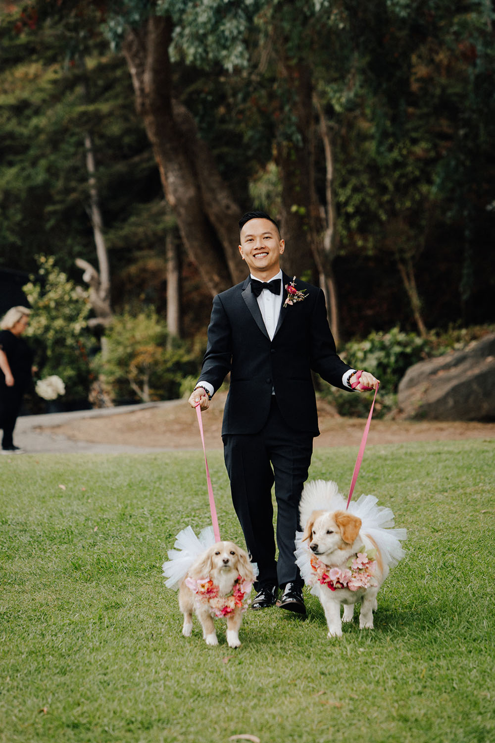 Walking dogs down the aisle for wedding ceremony