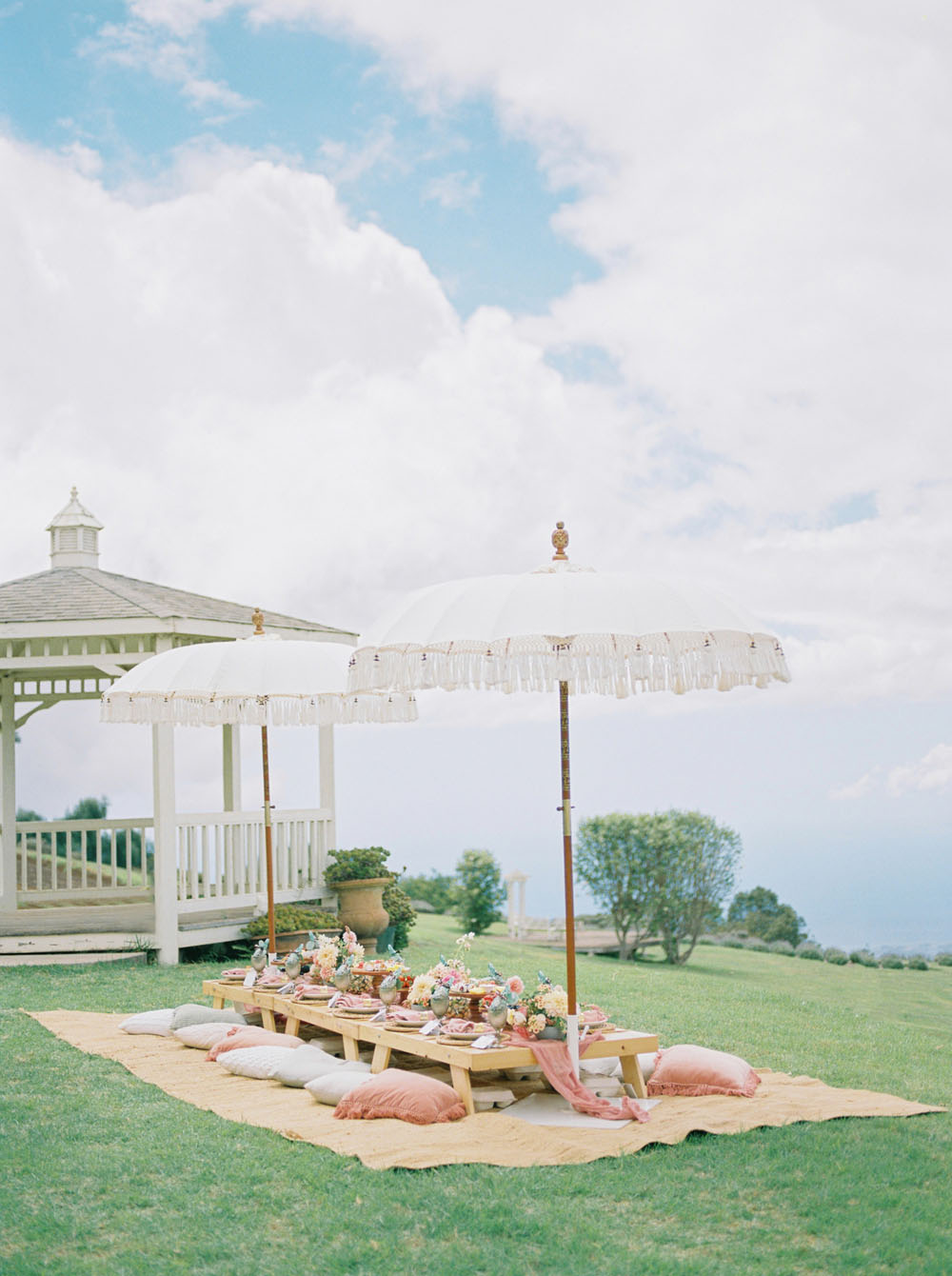 Bridal brunch picnic at Maui’s lavender farms