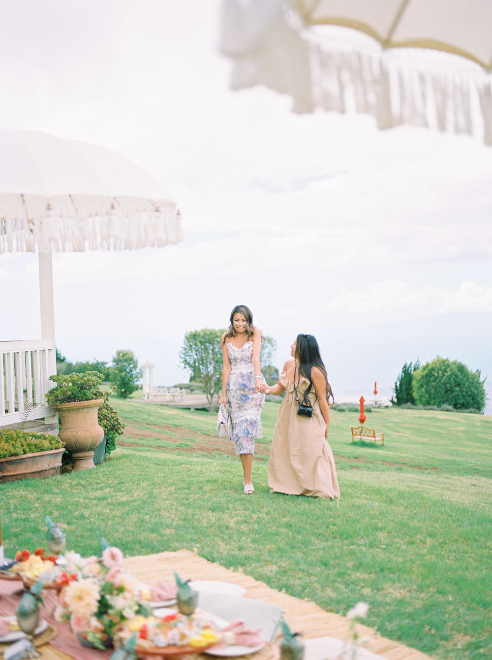A lavender inspired bridal brunch picnic at Maui flower fields
