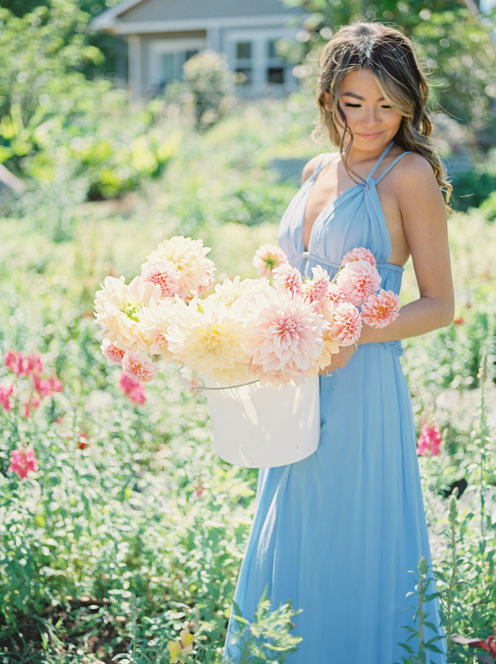 Picking dahlias at Petaloom Floral in Maui