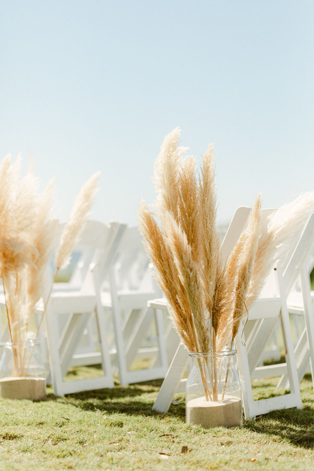 Pampas grass for beach wedding