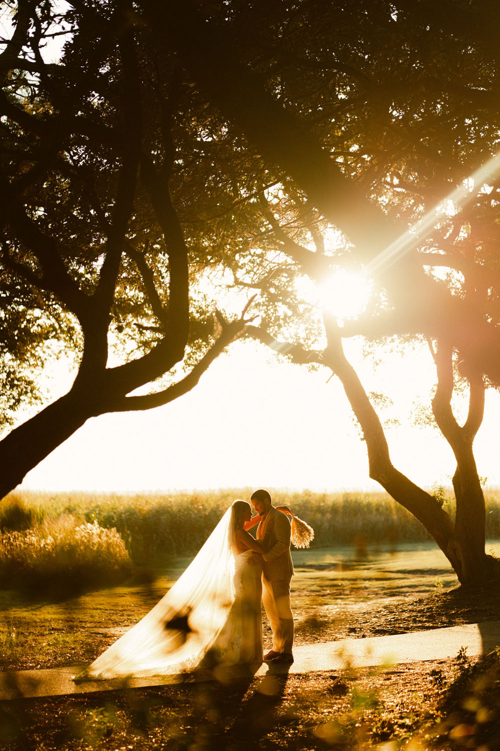 golden hour wedding portraits for North Carolina wedding