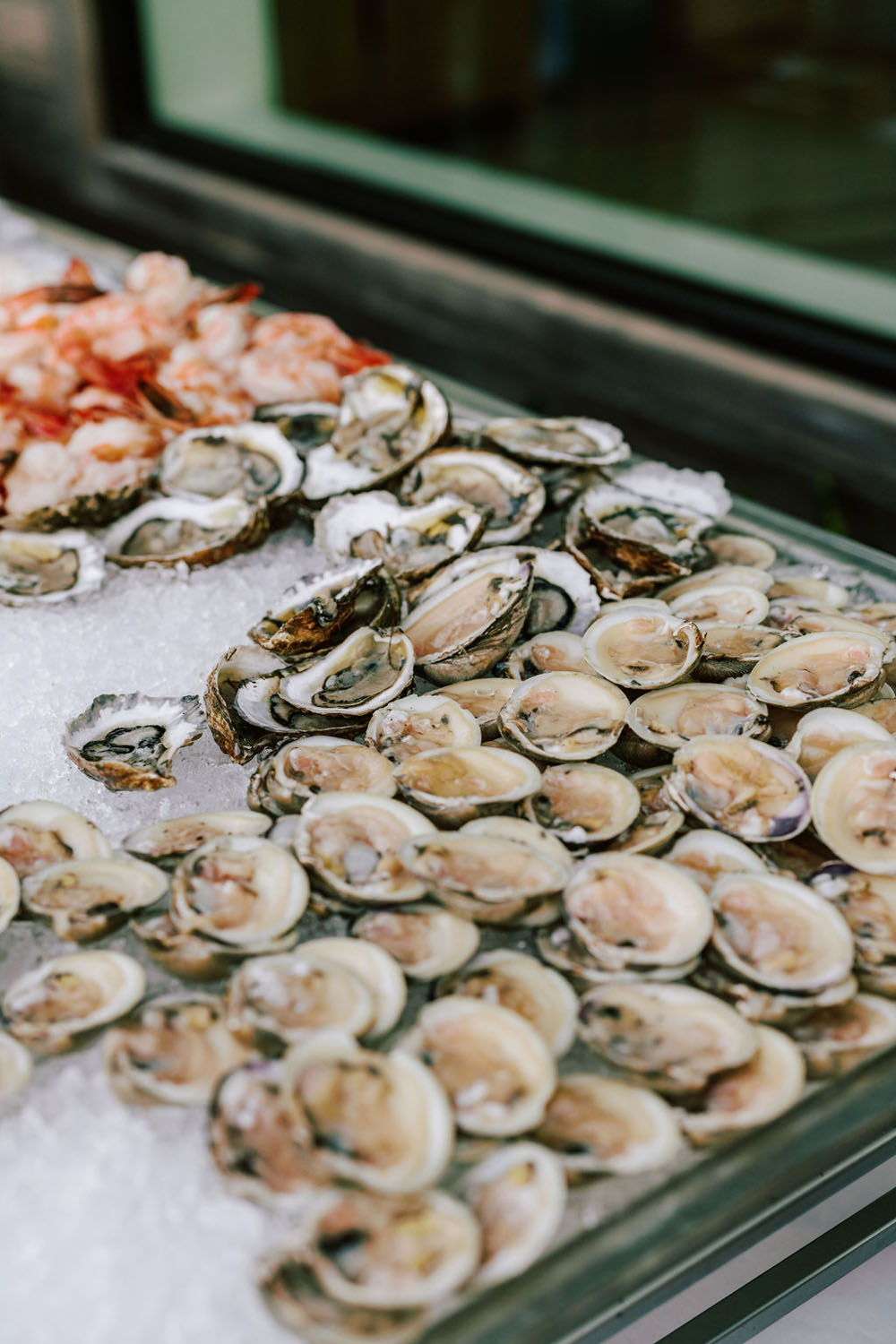 oysters for wedding cocktail hour in the Hamptons