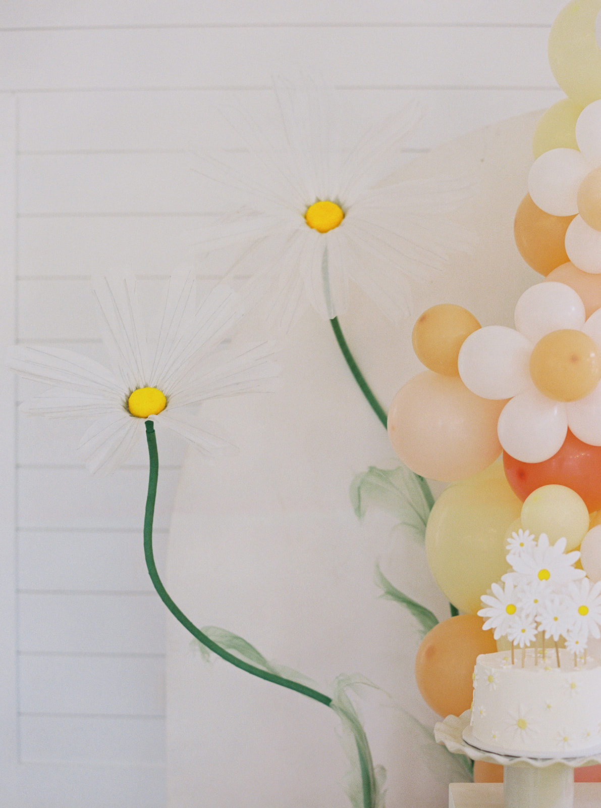 giant daisy decorations for party