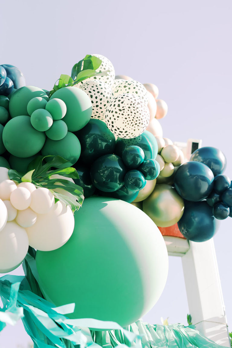 Zoo Birthday Party Jungle Cruise 4th Birthday