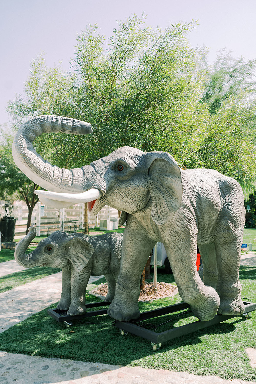 Huge animal decorations for safari birthday party