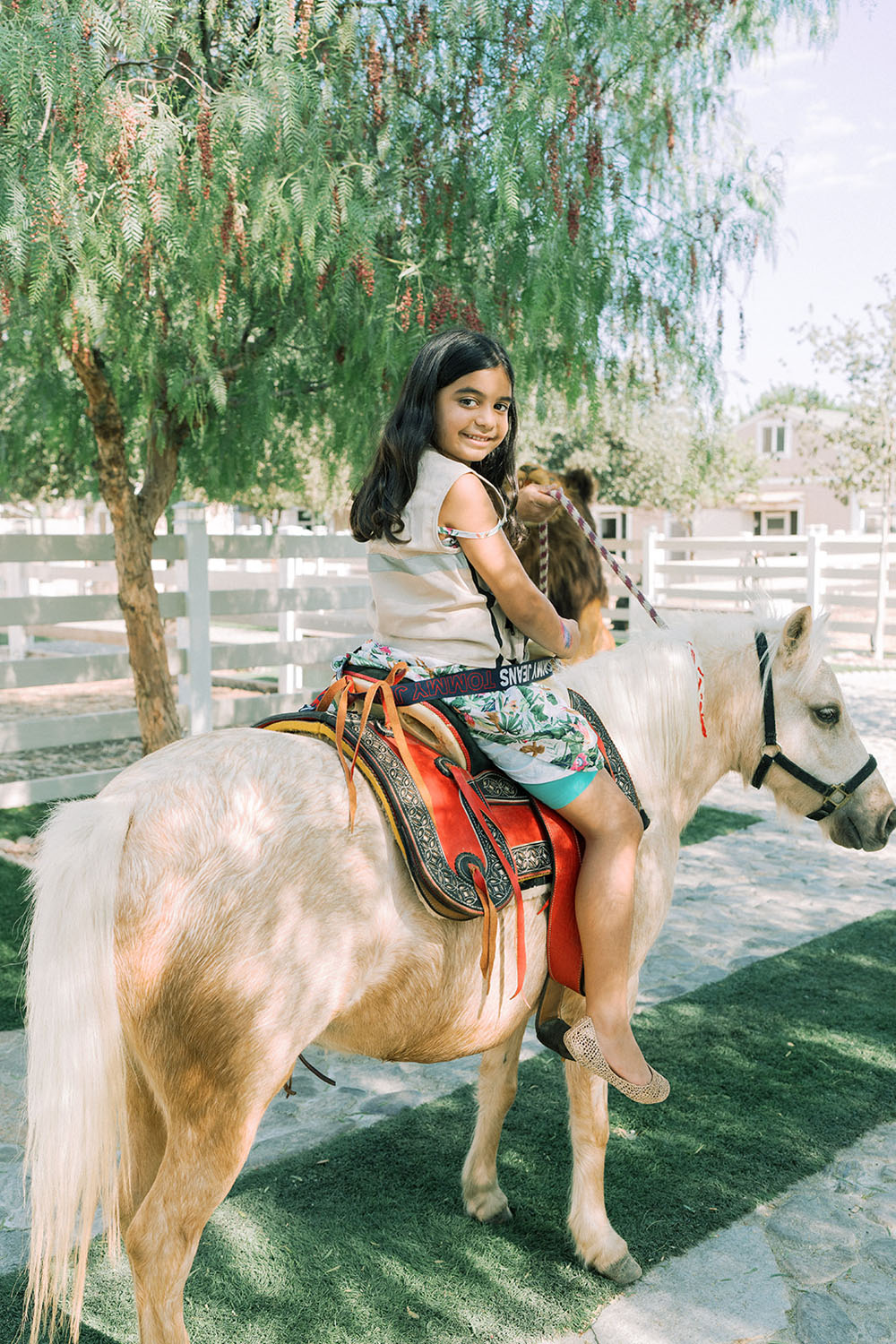 pony rides at kids animal theme birthday party