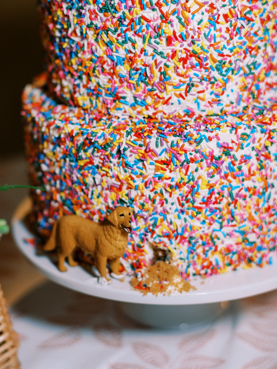 rainbow sprinkle wedding cake