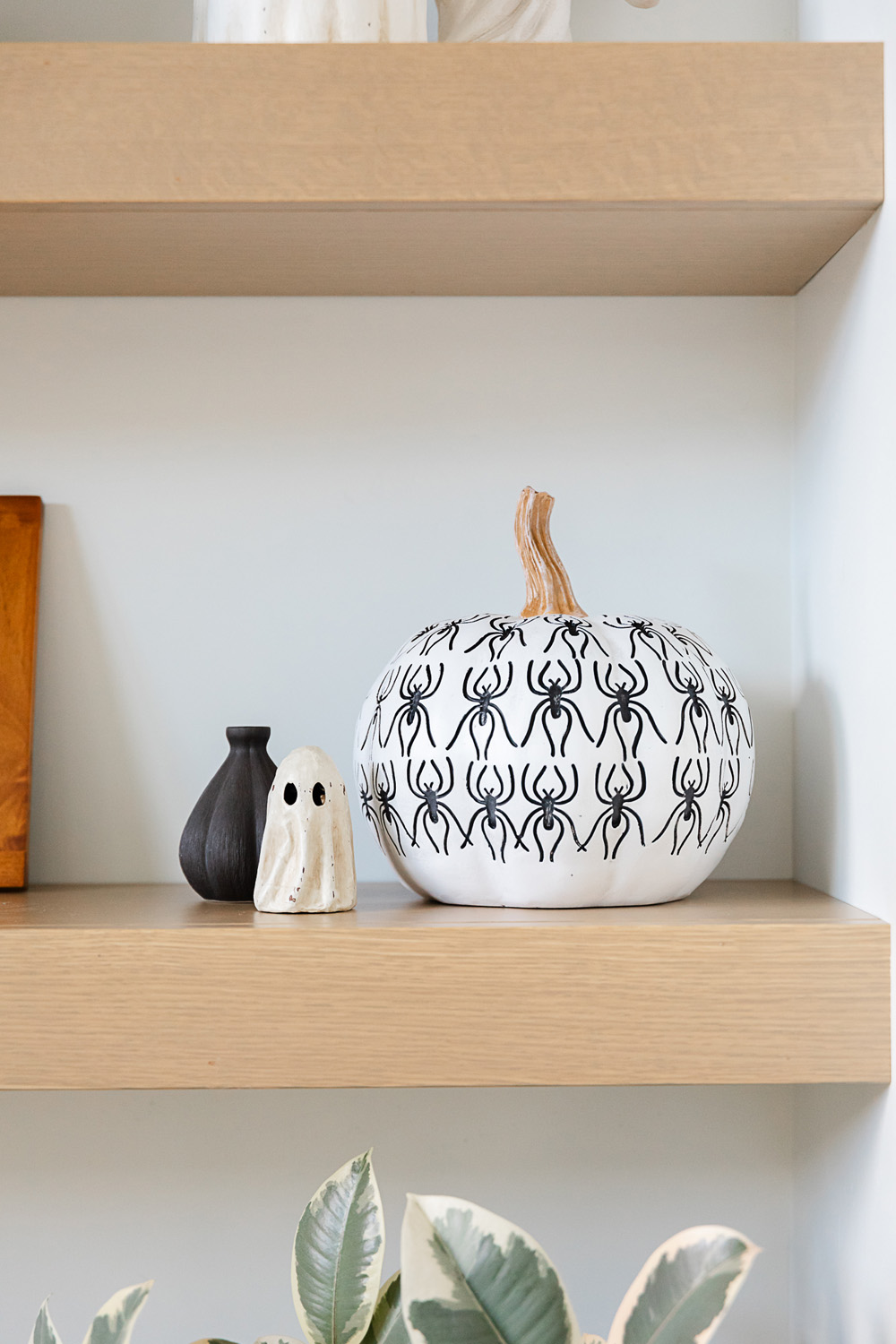 modern black white pumpkins