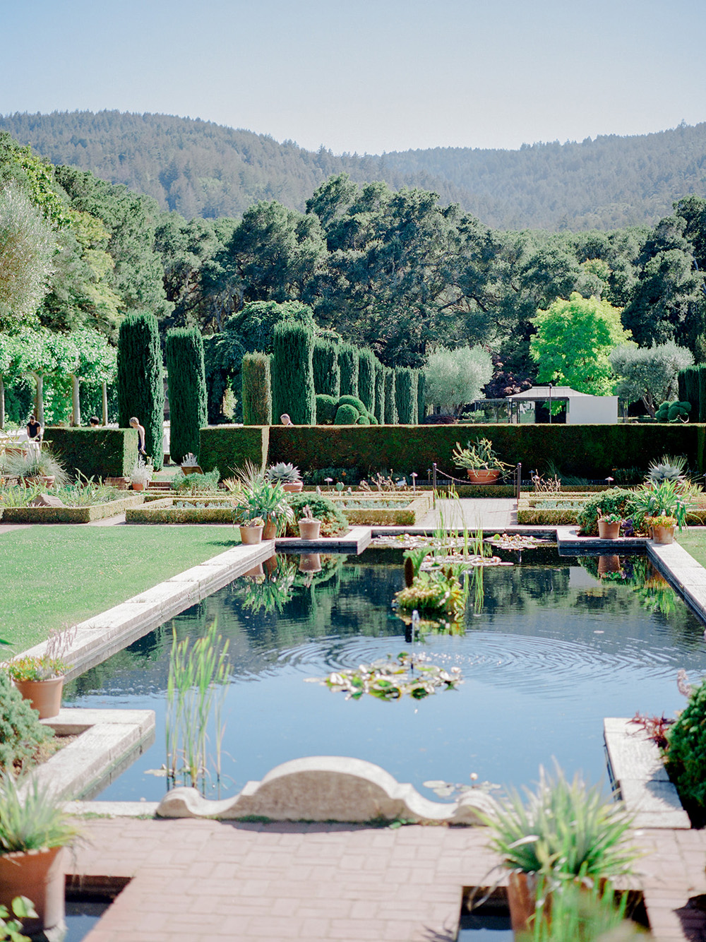 wedding party at historic Filoli Gardens