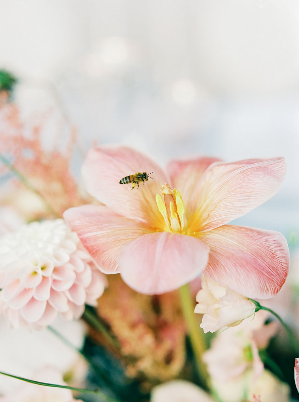 wedding flowers