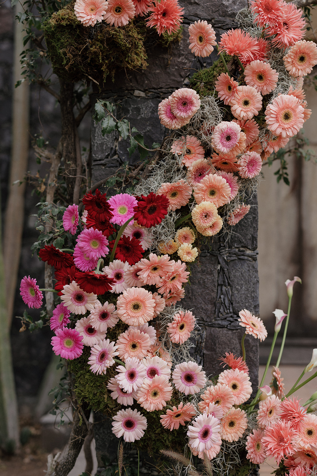 San Miguel de Allende wedding
