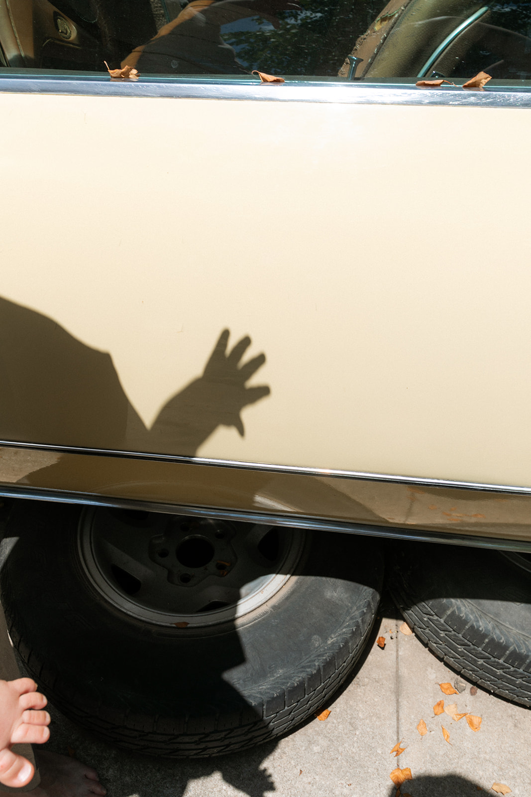 modern family portraits