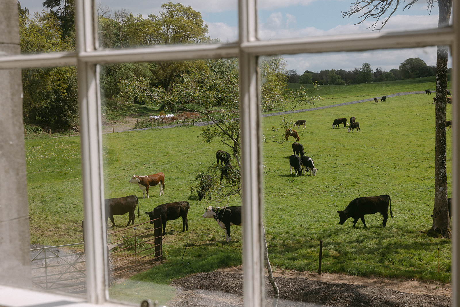 micro wedding venue in Ireland