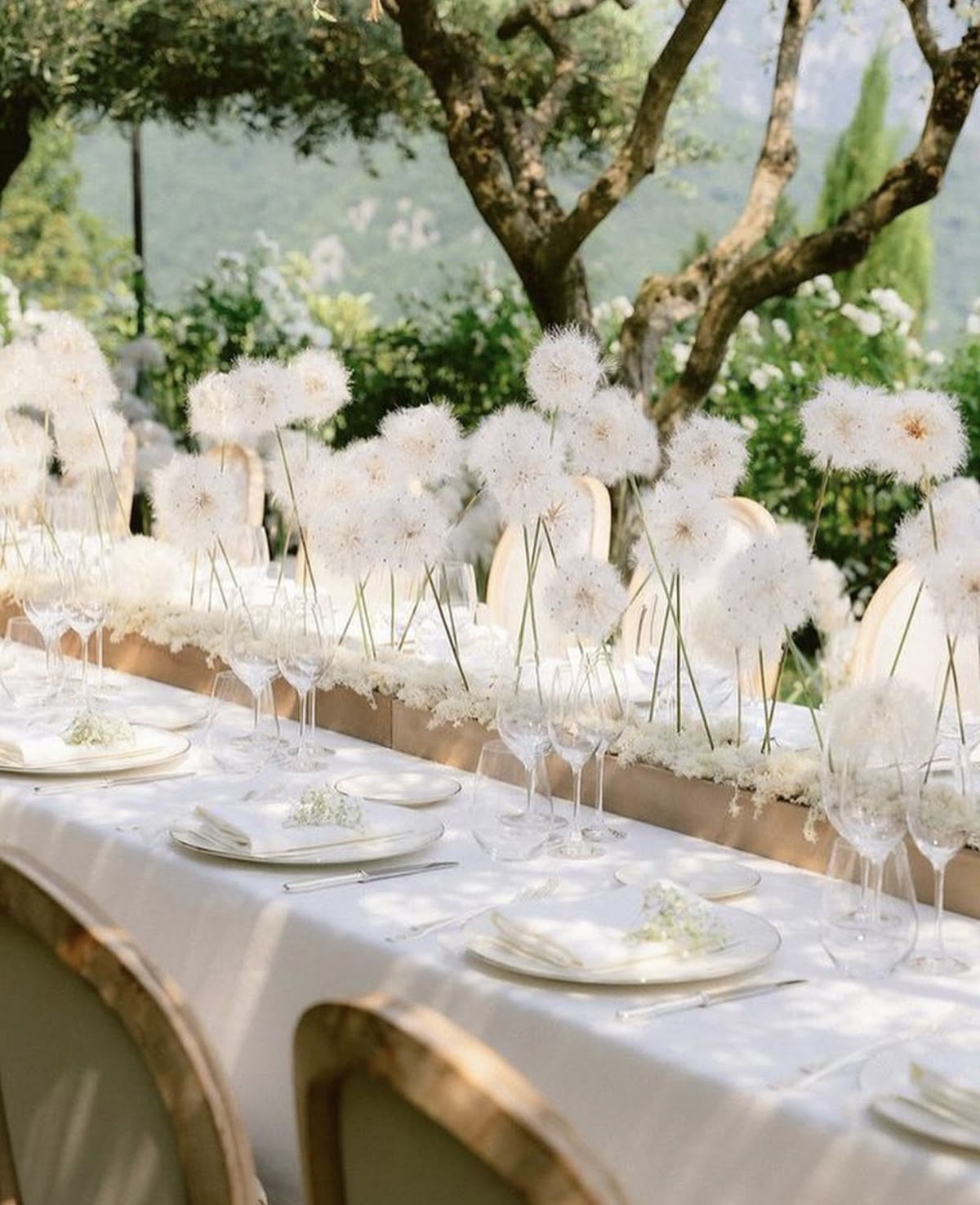 Cloud Dancer wedding decor