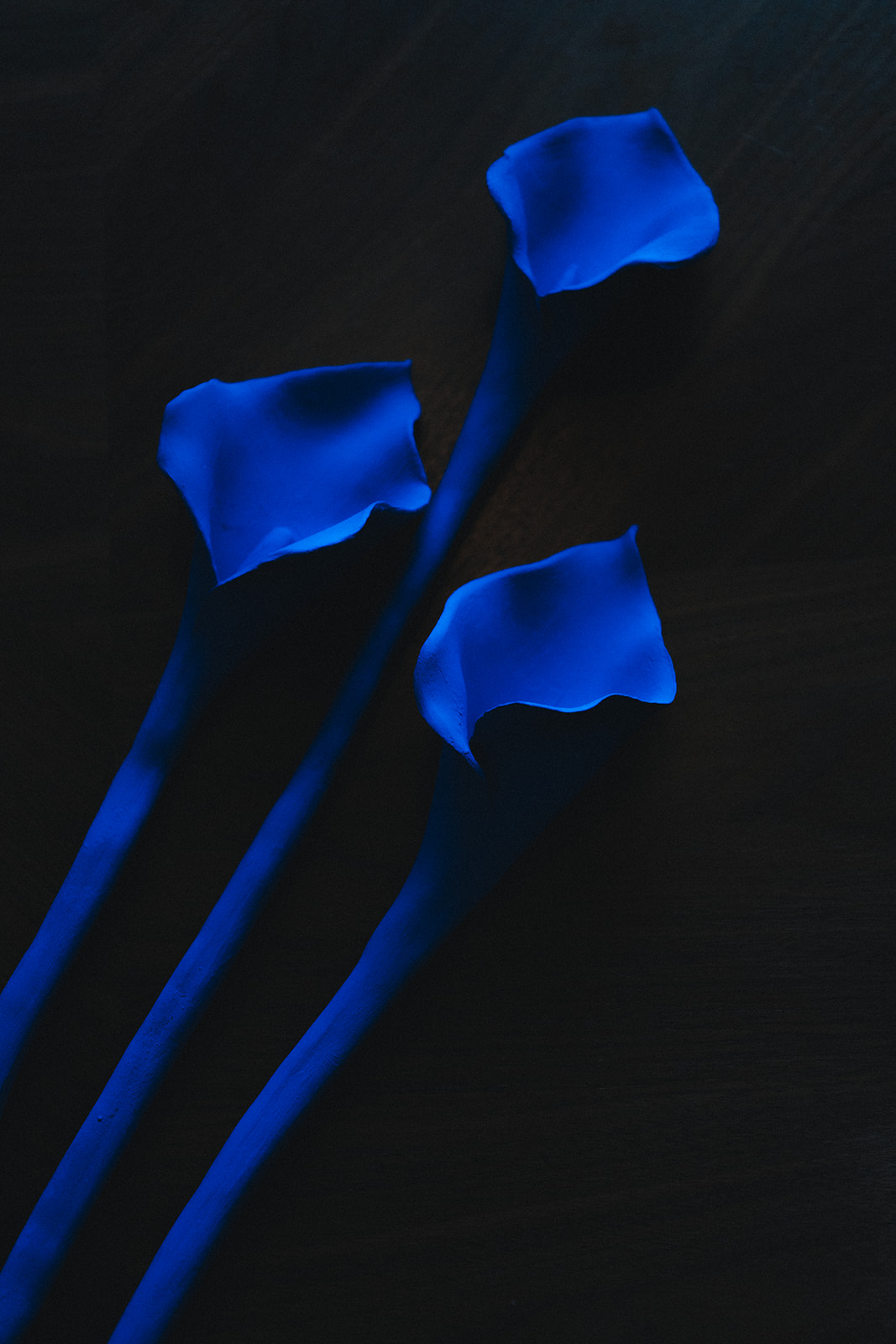 Bride holding a Yves Klein blue ceramic bouquet