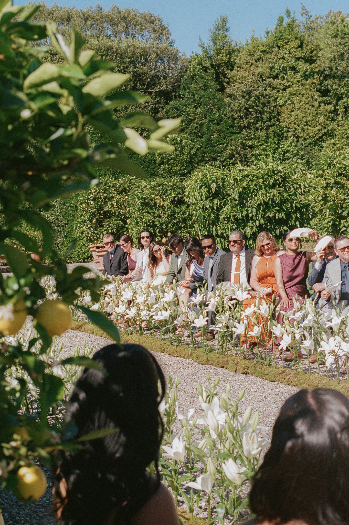 wedding guests